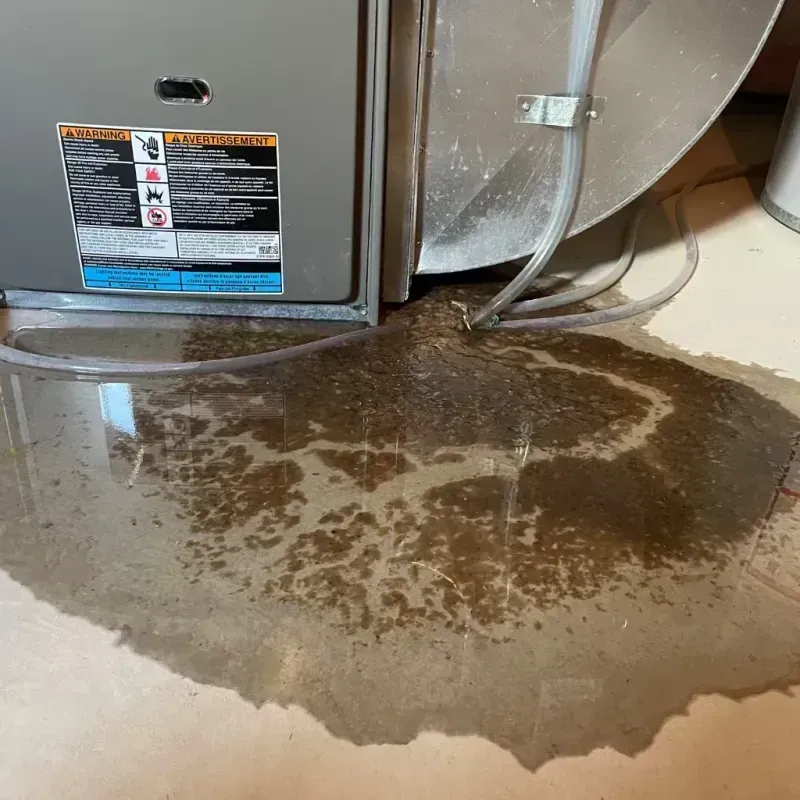 Appliance Leak Cleanup in Marion County, AR